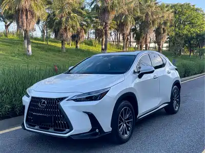 Lexus NX 2022