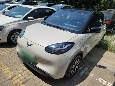 Wuling Motors Bingo 2024
