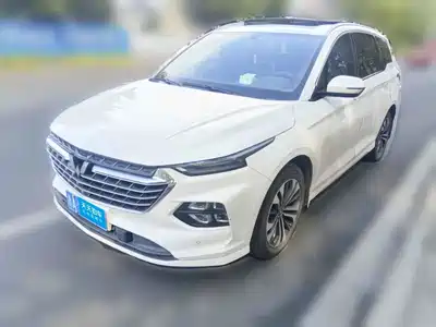 Wuling Motors Victory 2021