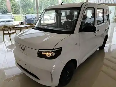 Wuling Motors Zhiguang NEV 2026