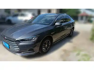 BYD Qin Pro 2019