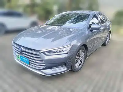 BYD Qin Pro New Energy 2019