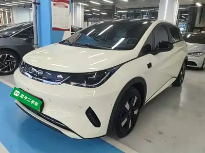 BYD Dolphin 2026
