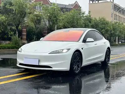 Tesla Model 3 2025