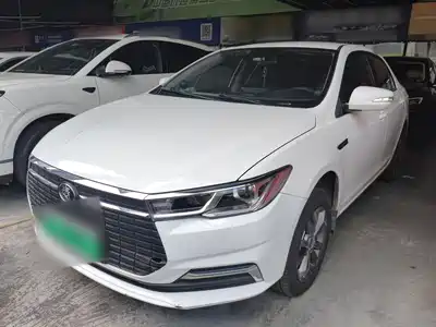 BYD Qin New Energy 2022