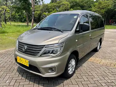 Dongfeng Fengxing Lingzhi 2018