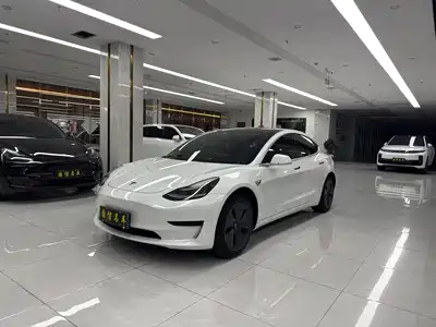 Tesla Model 3 2020