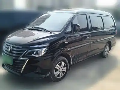 Dongfeng Fengxing Lingzhi 2023
