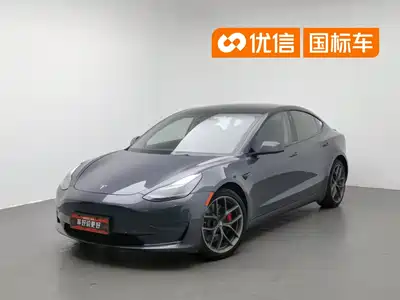 Tesla Model 3 2021