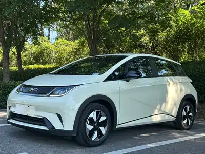 BYD Dolphin 2024