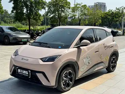 BYD Seagull 2024