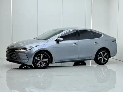 BYD Destroyer 05 2024