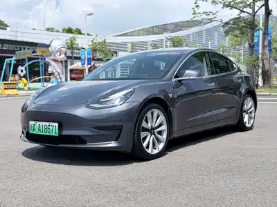 Tesla Model 3 2020