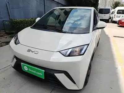 BYD Seagull 2025