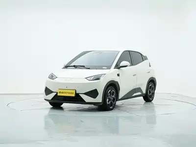 BYD Seagull 2025
