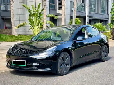 Tesla Model 3 2021