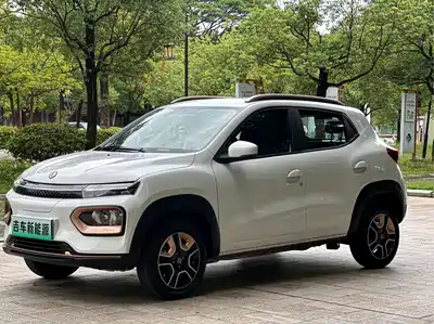 Dongfeng Yipai Nano BOX 2024