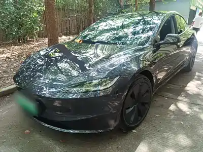 Tesla Model 3 2025