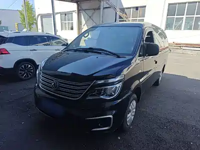 Dongfeng Fengxing Lingzhi 2021