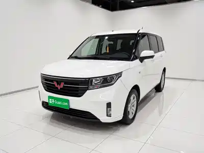 Wuling Motors Hongguang PLUS 2021