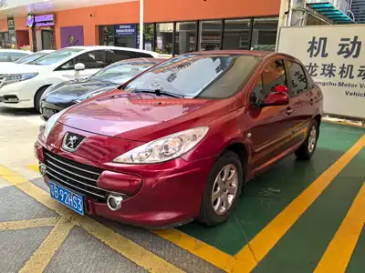 Peugeot 307 2010