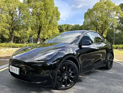 Tesla Model Y 2021