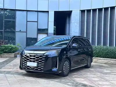 BYD Xia 2025