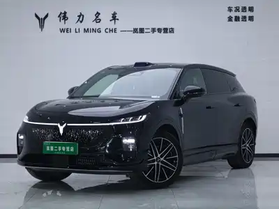 Voyah Auto Zhiyin 2025