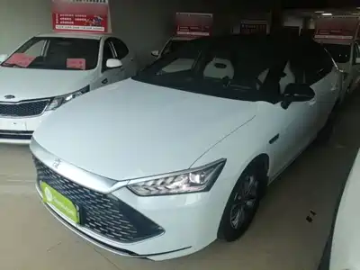 BYD Qin PLUS 2024
