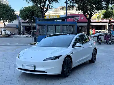 Tesla Model 3 2025