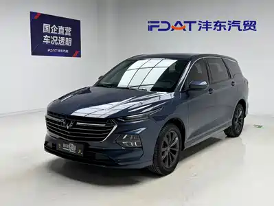 Wuling Motors Victory 2021