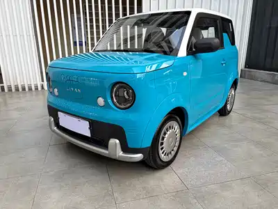 Ruilan Auto Blue Elf 2025