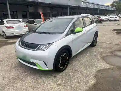 BYD Dolphin 2021