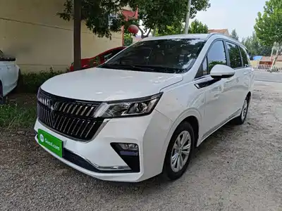 Wuling Motors Jiachen 2023