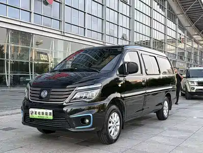 Dongfeng Fengxing Lingzhi New Energy 2021