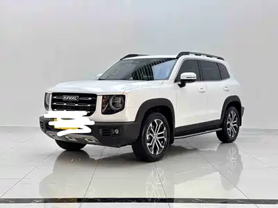 Haval Big Dog 2021