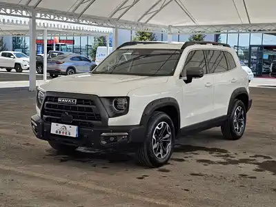 Haval Big Dog 2025