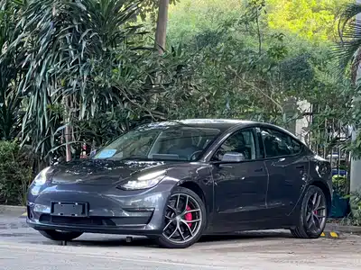 Tesla Model 3 2022