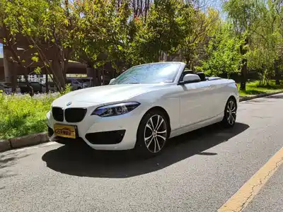 BMW 2 Series (Import) 2020