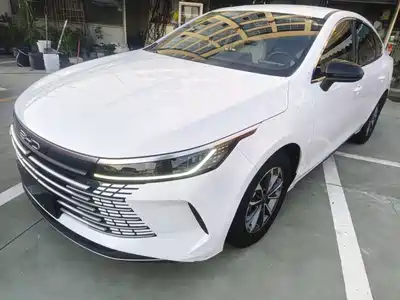 BYD Destroyer 05 2024
