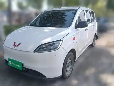 Wuling Motors Hongguang New Energy 2025