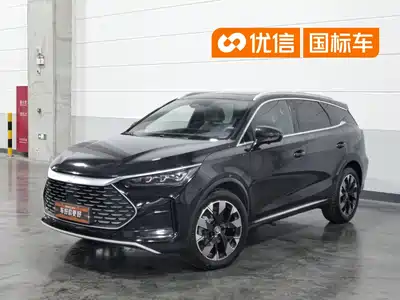 BYD Tang New Energy 2024