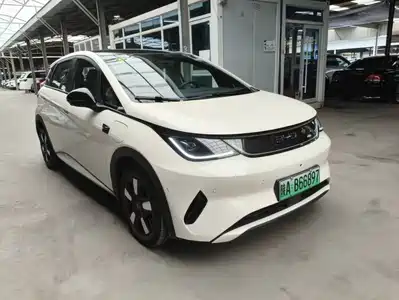BYD Dolphin 2025