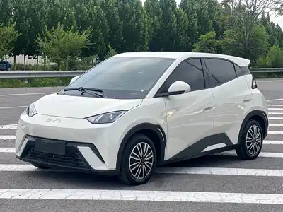 BYD Seagull 2024