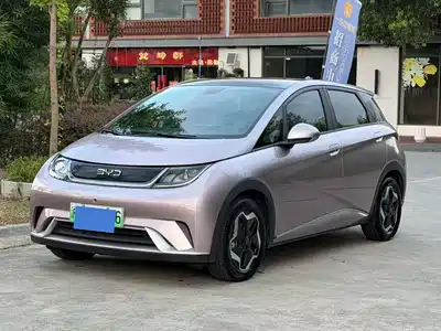 BYD Dolphin 2022