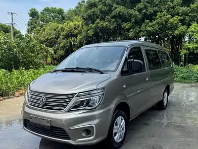 Dongfeng Fengxing Lingzhi 2021