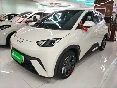 BYD Seagull 2024