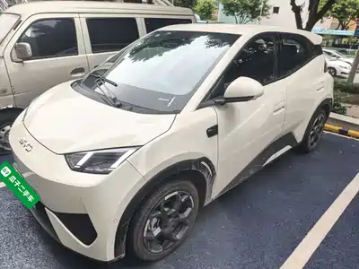 BYD Seagull 2025