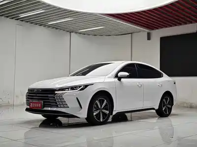 BYD Destroyer 05 2024