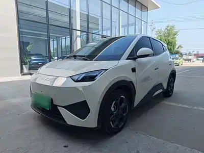 BYD Seagull 2025